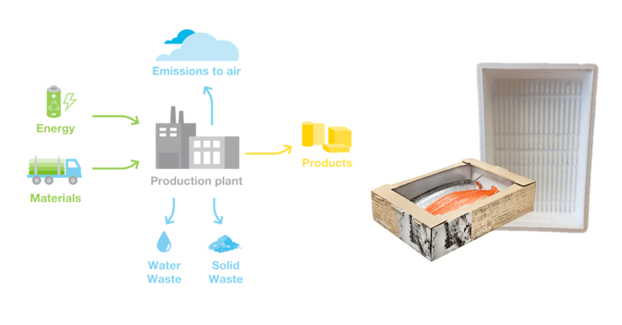 Life cycle Assessment- EcoFishbox and styrofoam packaging
