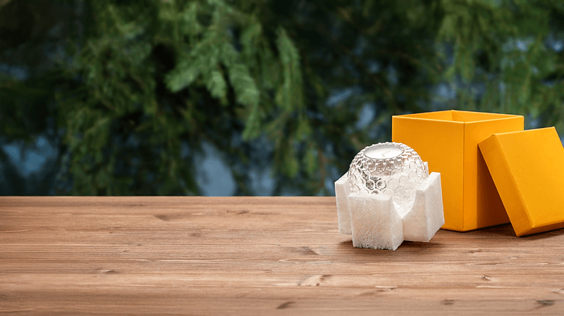 forest-pine-person-2200x400