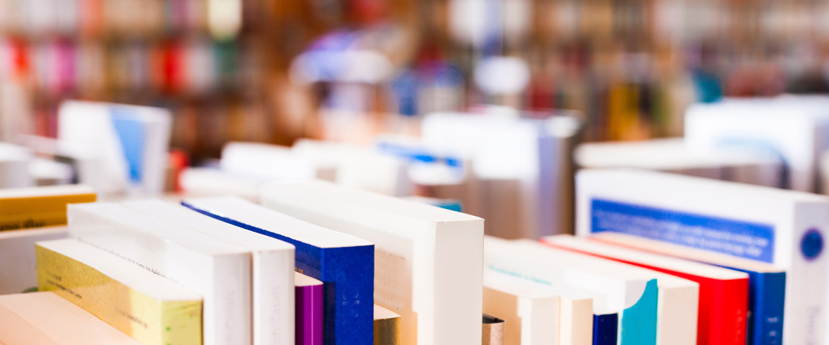 forest-pine-person-2200x400