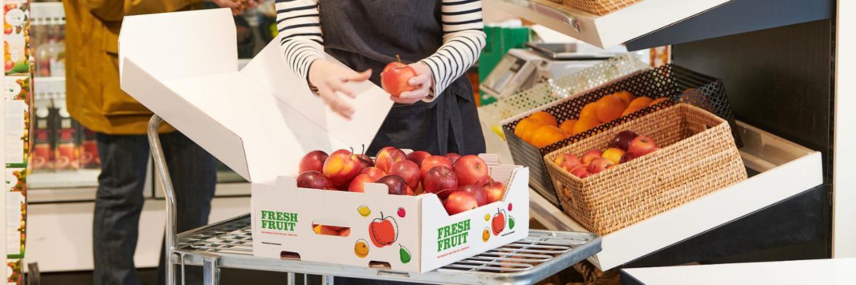 forest-pine-person-2200x400